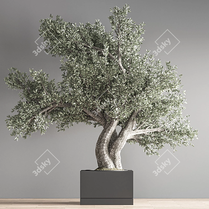 28-Piece Indoor Bonsai Plant Set 3D model image 4