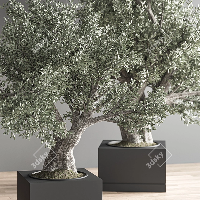 28-Piece Indoor Bonsai Plant Set 3D model image 5