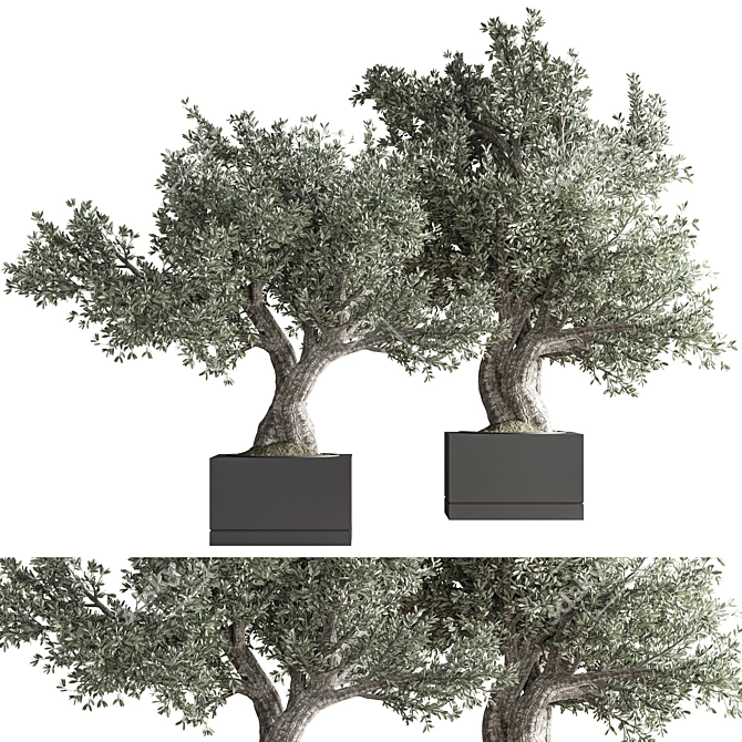 28-Piece Indoor Bonsai Plant Set 3D model image 7