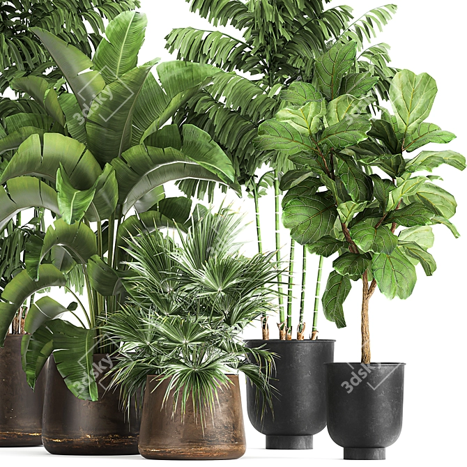 Tropical Plant Collection in Rustic Metal Pots 3D model image 5