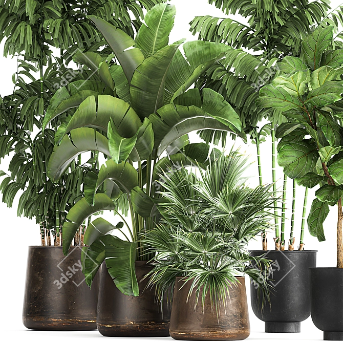 Tropical Plant Collection in Rustic Metal Pots 3D model image 6