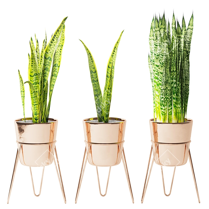 Sleek Snake Plant Stand 3D model image 1