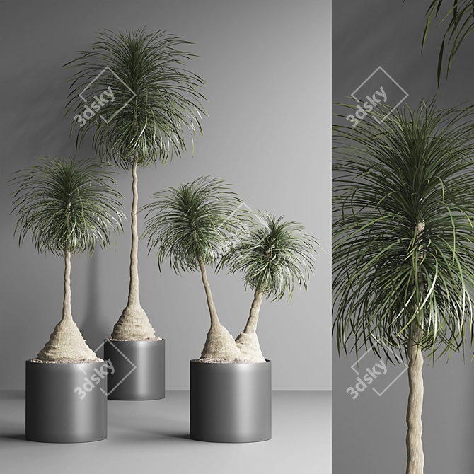 Indoor Plant Collection - Set of 12 3D model image 3