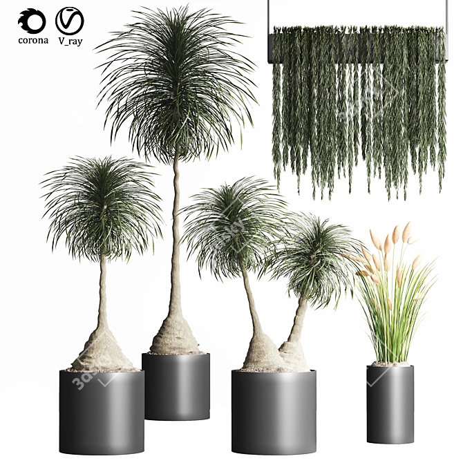 Indoor Plant Collection - Set of 12 3D model image 6