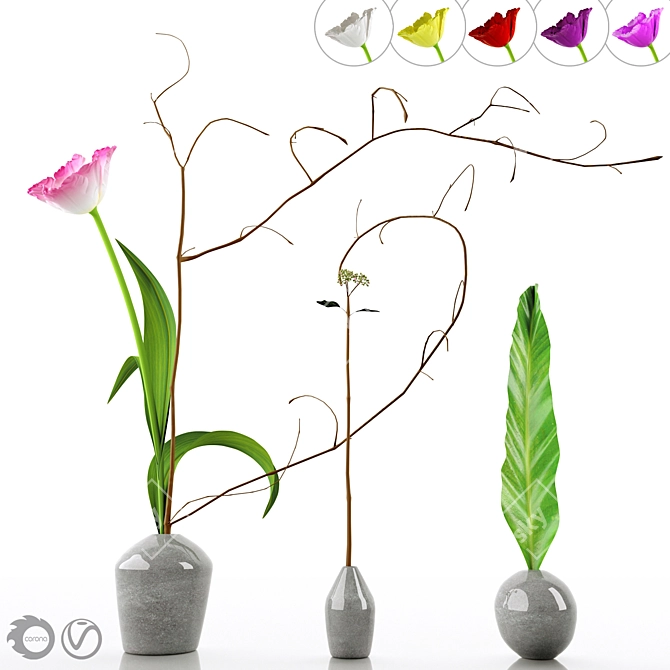 Elegant Decorative Floral Set 3D model image 1