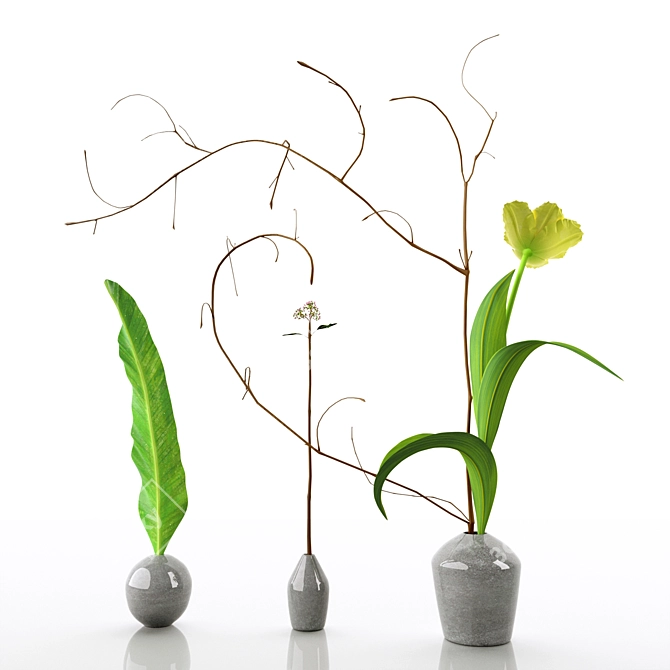 Elegant Decorative Floral Set 3D model image 3