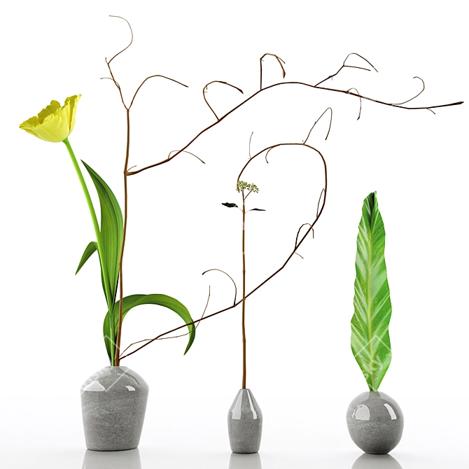 Elegant Decorative Floral Set 3D model image 4
