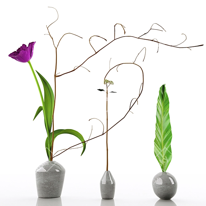 Elegant Decorative Floral Set 3D model image 6