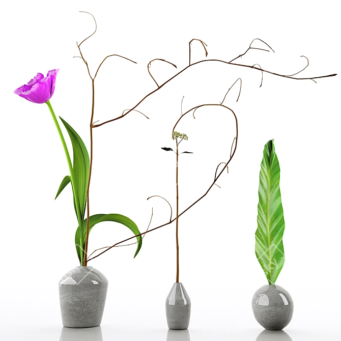 Elegant Decorative Floral Set 3D model image 7