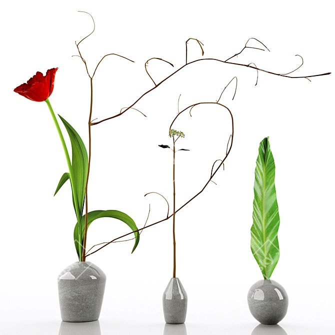 Elegant Decorative Floral Set 3D model image 11
