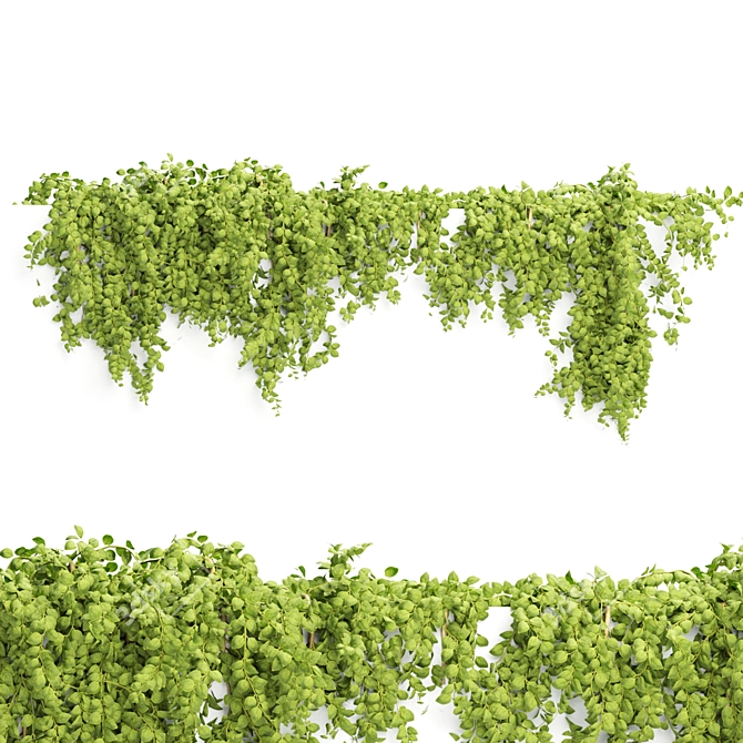 Wall Plants Collection: Volume 56 3D model image 5