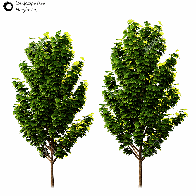  Majestic Outdoor Tree Sculpture 3D model image 2