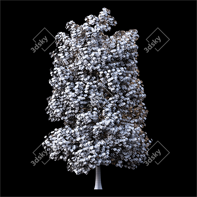 Exterior Landscape Tree - 17m Height 3D model image 4
