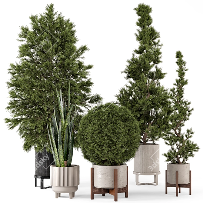 Ferm Living Bau Pot Large - Indoor Plants 3D model image 5