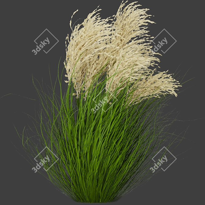 Premium Grass Collection for Outdoor Landscaping 3D model image 3