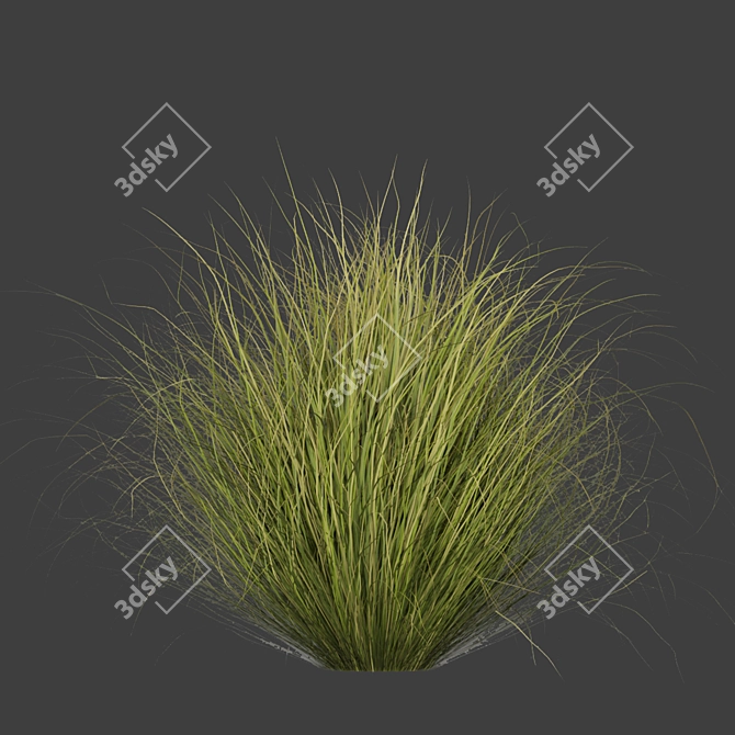 Premium Grass Collection for Outdoor Landscaping 3D model image 6