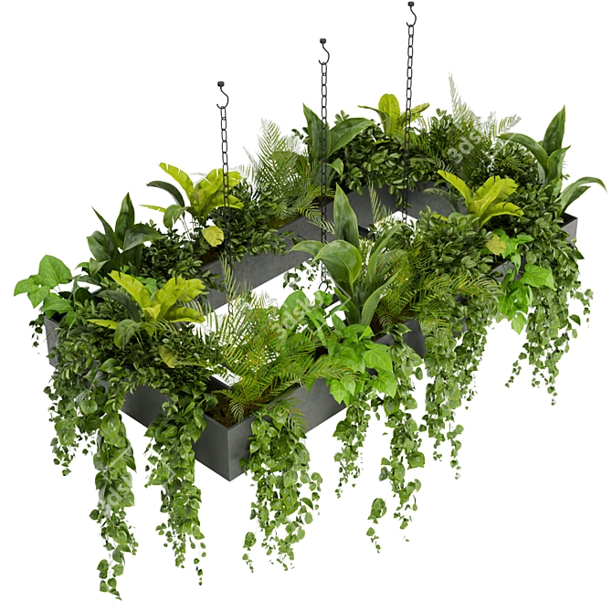 Hanging Indoor Ampelous Collection Plant 3D model image 3