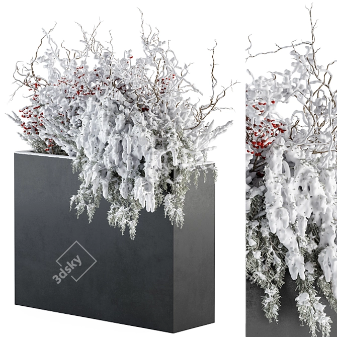 Snowy Boxed Outdoor Plant Set 3D model image 2