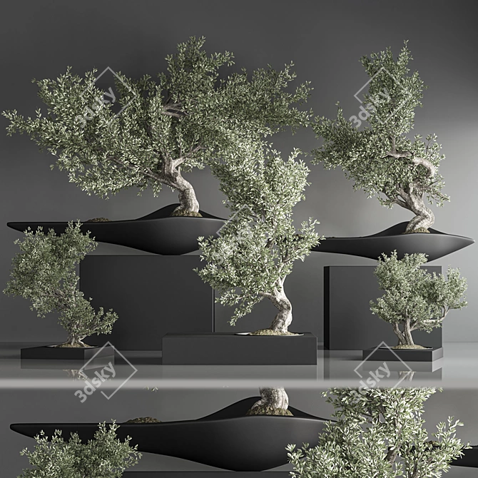 Zen Bonsai Indoor Plant Set 3D model image 1