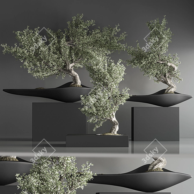 Zen Bonsai Indoor Plant Set 3D model image 2