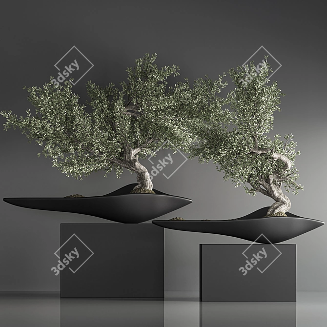 Zen Bonsai Indoor Plant Set 3D model image 3