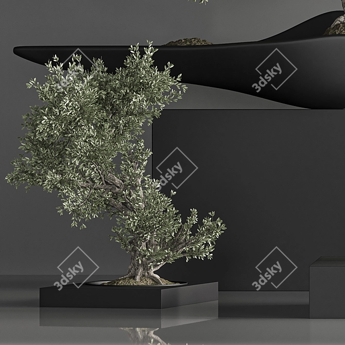 Zen Bonsai Indoor Plant Set 3D model image 5