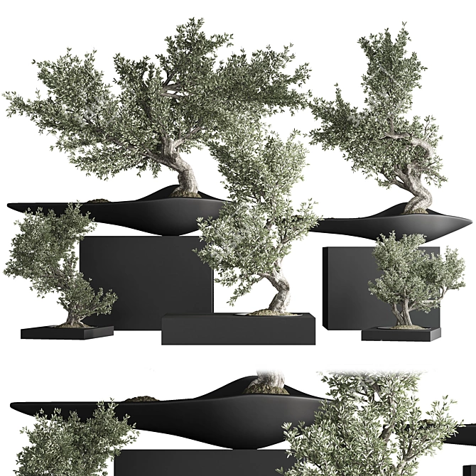 Zen Bonsai Indoor Plant Set 3D model image 7