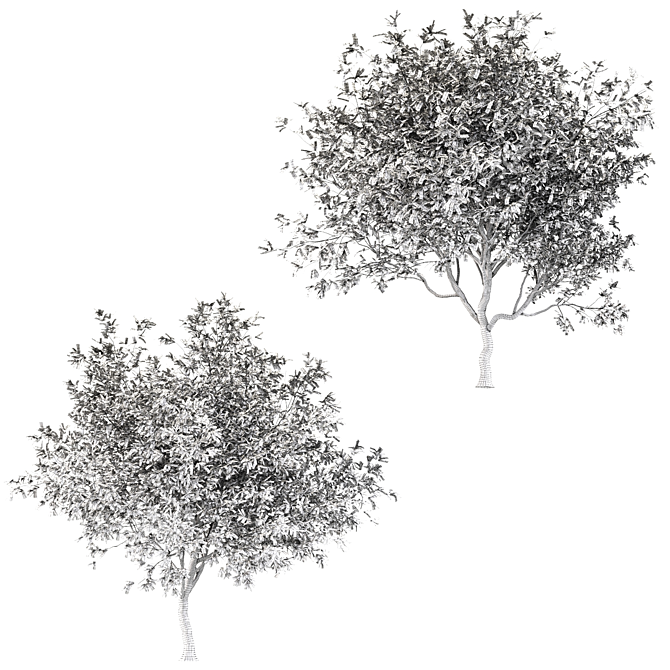 Persian Ironwood Tree (2-Pack) 3D model image 5