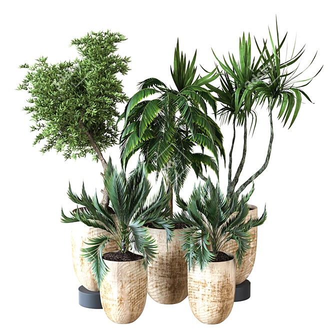 Modern Indoor Plant Vol 26 3D model image 1
