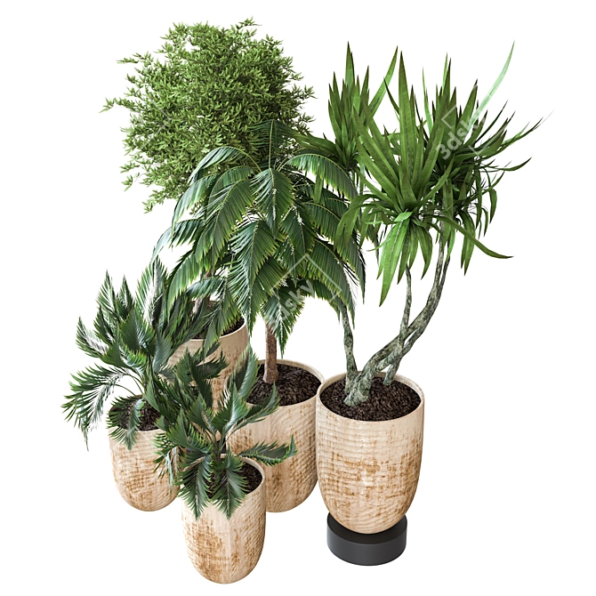 Modern Indoor Plant Vol 26 3D model image 2