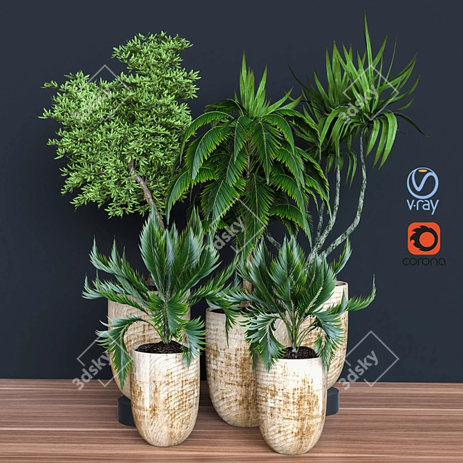 Modern Indoor Plant Vol 26 3D model image 4