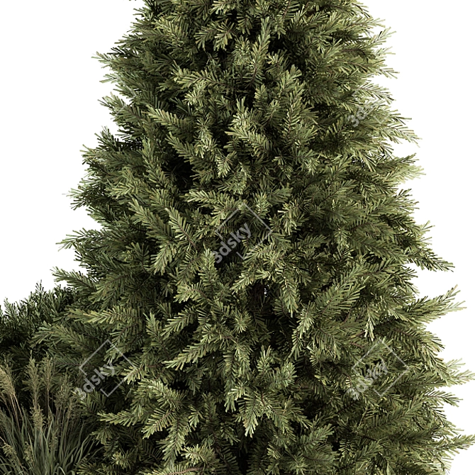 Evergreen Garden Set: Pine Tree & Bush 3D model image 3