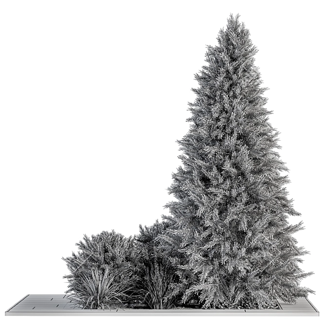 Evergreen Garden Set: Pine Tree & Bush 3D model image 4