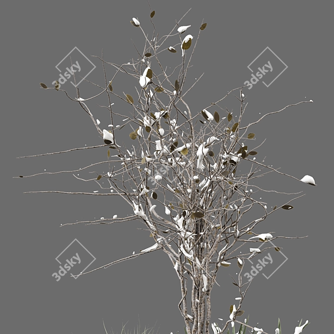 Snowy Garden Set: Outdoor Bush and Tree 3D model image 4