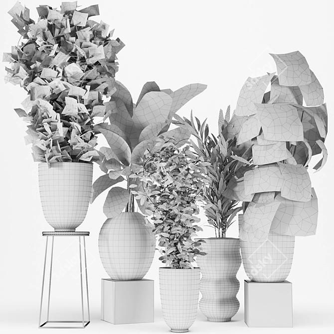 Five Plant Collection - Indoor/outdoor Ornamental Plants 3D model image 6