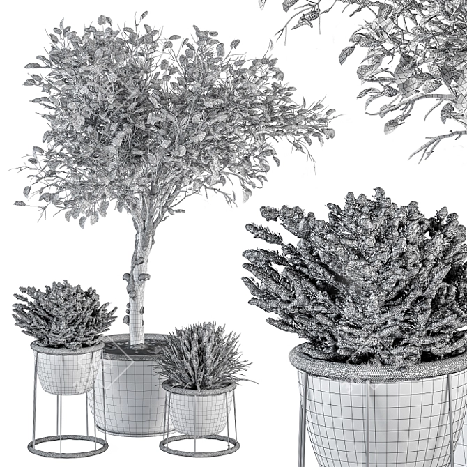 Frosted Outdoor Plant Set 3D model image 4