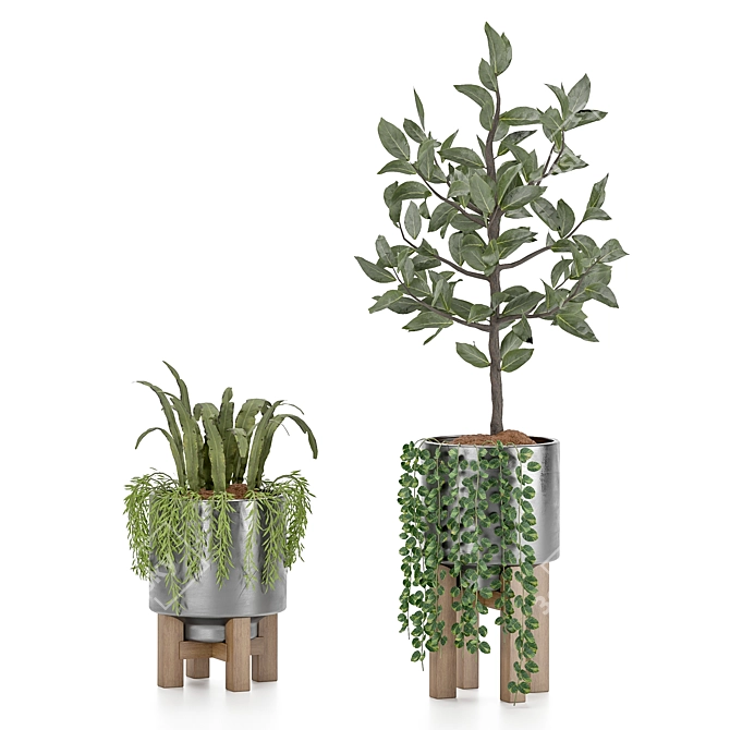  Lush Greenery Indoor Plant Set 3D model image 3