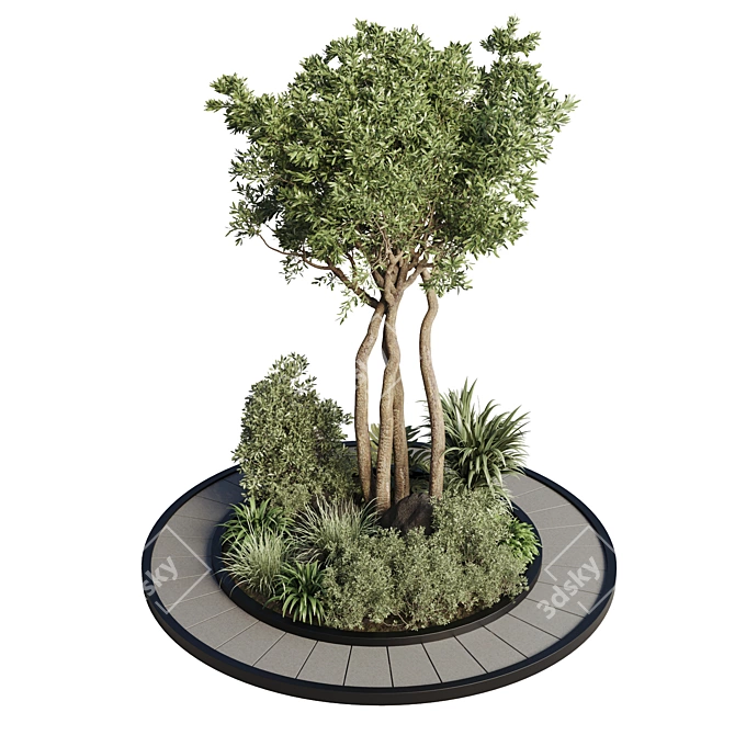 Outdoor Circle Garden Pot for 72 Palm Trees, Bushes, Ferns, and Grass 3D model image 1