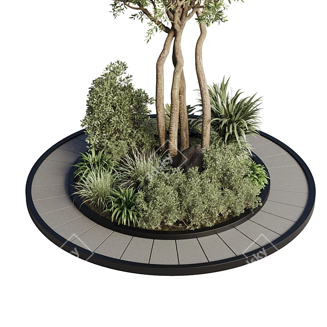 Outdoor Circle Garden Pot for 72 Palm Trees, Bushes, Ferns, and Grass 3D model image 4