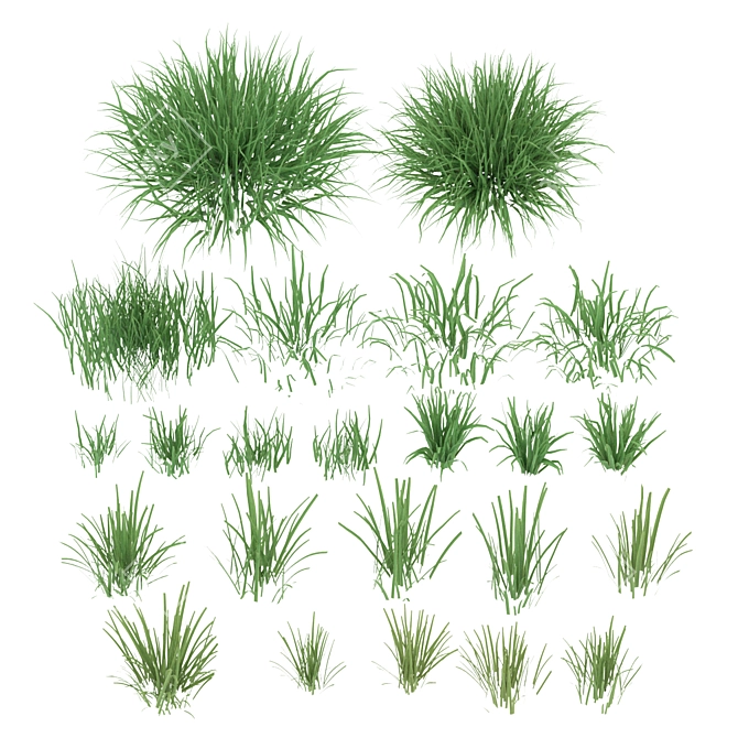 Sunset Grass 3D Asset Bundle 3D model image 5