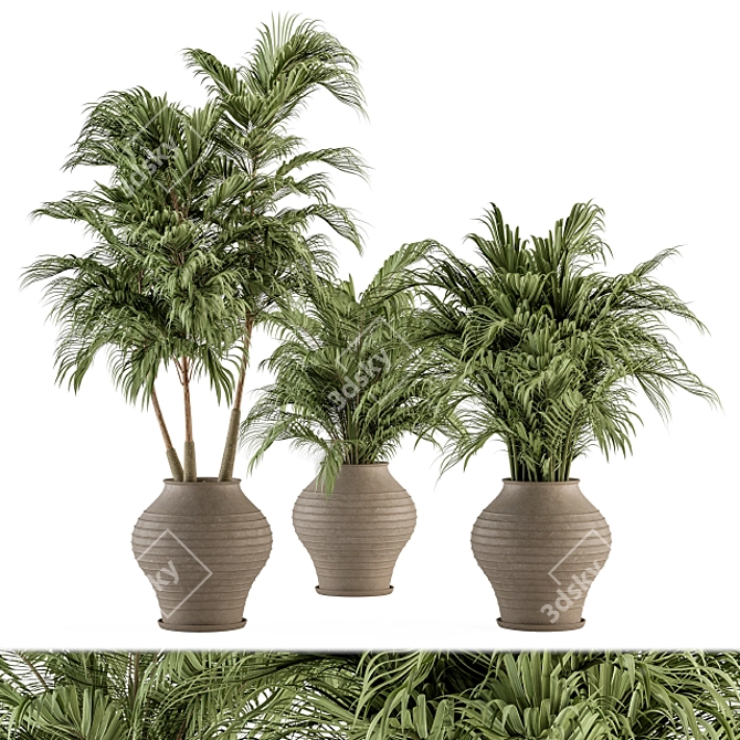 Tropical Oasis: Outdoor Plant Set 3D model image 1