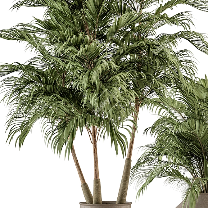 Tropical Oasis: Outdoor Plant Set 3D model image 2