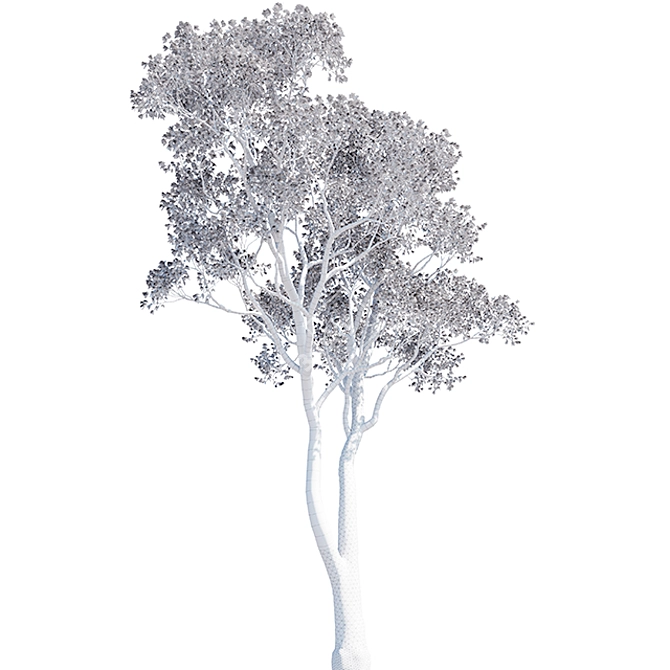 Oak Tree 3D Models | Closeup-Optimized 3D model image 4