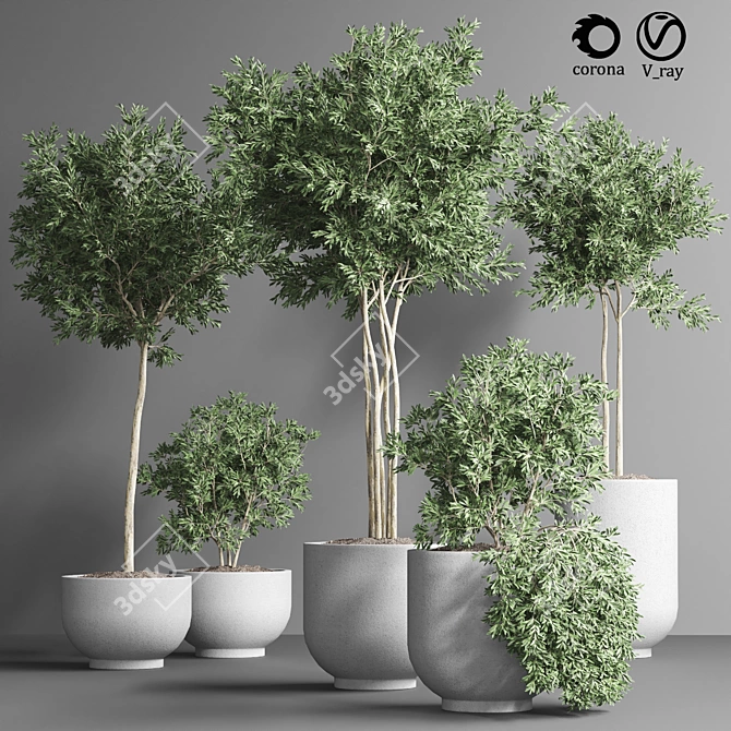 Indoor Plant Collection 13: Elegant Greenery for your Home 3D model image 1