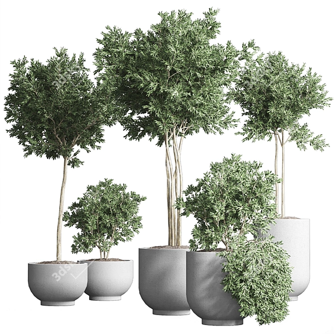 Indoor Plant Collection 13: Elegant Greenery for your Home 3D model image 3