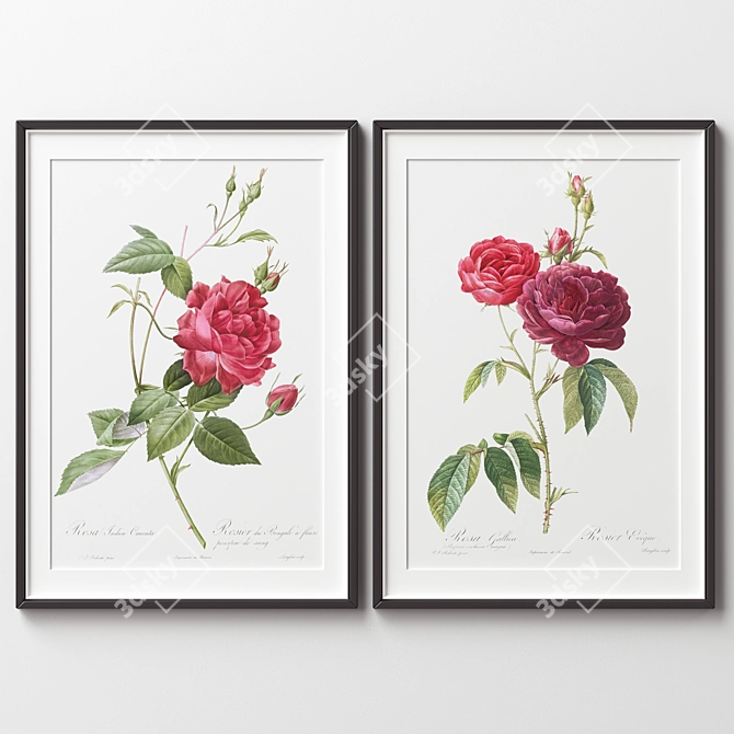 Versatile Picture Frames - Set of 2 3D model image 2