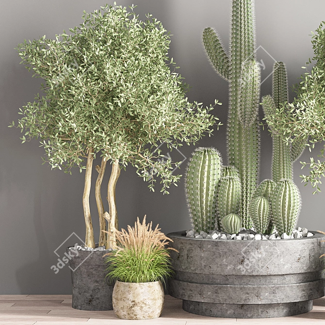 Modern Indoor Plant Set 3D model image 3