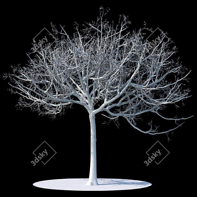Winter Wonderland Apple Tree 3D model image 2