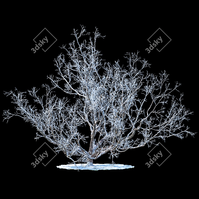 Winter Wonderland Apple Tree 3D model image 1