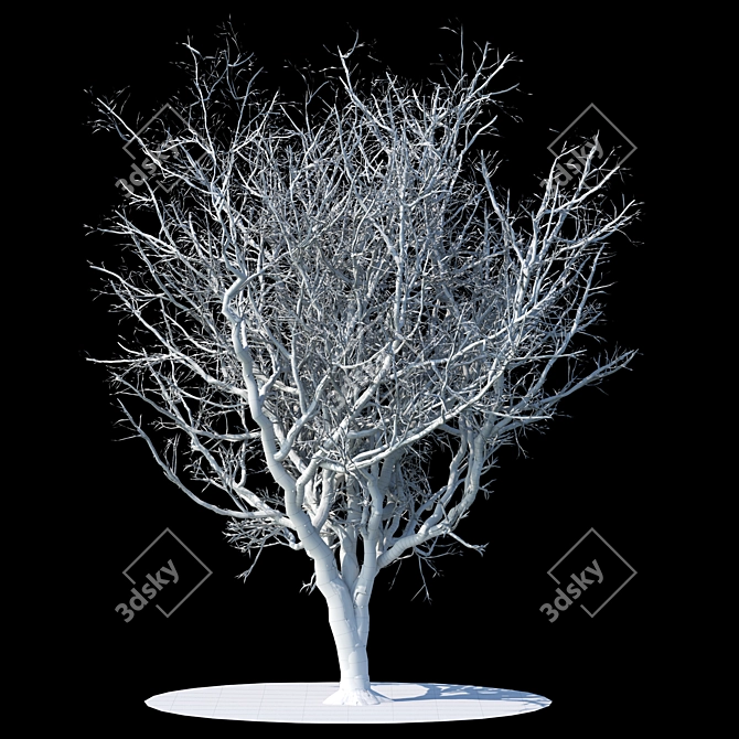 Frosty Apple Tree 3D model image 2